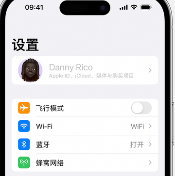 云安appleID维修服务iPhone设置中Apple ID显示为灰色无法使用