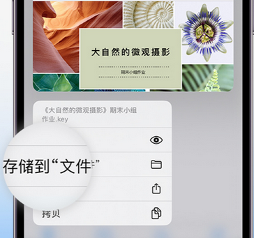 云安apple维修中心分享iPhone文件应用中存储和找到下载文件