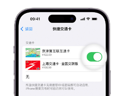 云安apple维修点分享iPhone上更换Apple Pay快捷交通卡手绘卡面 