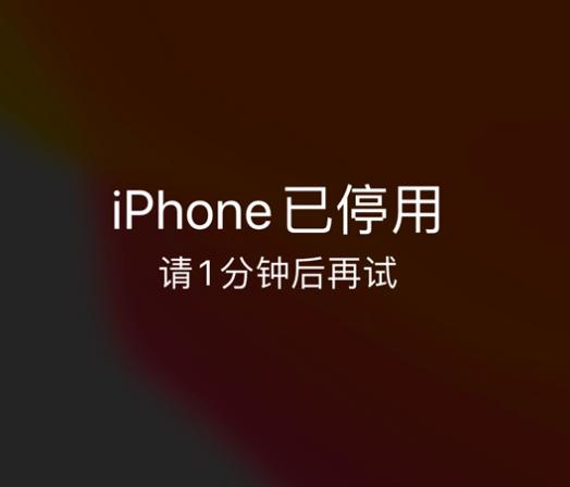 云安苹果手机维修分享:iPhone 显示“不可用”或“已停用”怎么办？还能保留数据吗？ 