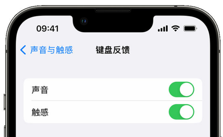 云安苹果手机维修分享iPhone 14触感键盘使用方法 