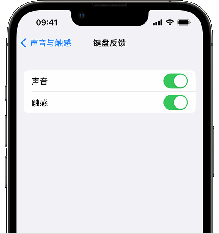 云安苹果14维修店分享如何在 iPhone 14 机型中使用触感键盘 