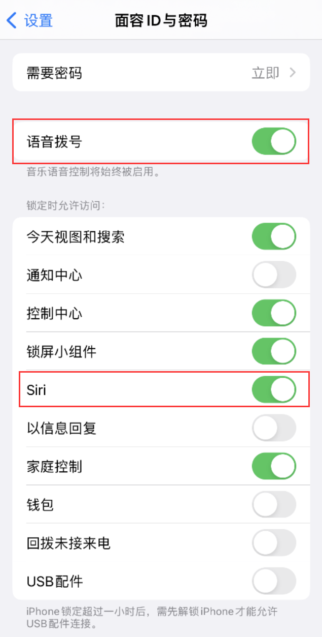 云安苹果维修网点分享不解锁 iPhone 的情况下通过 Siri 拨打电话的方法 