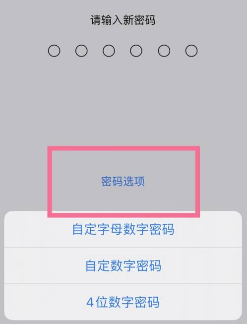 云安苹果14维修分享iPhone 14plus设置密码的方法 