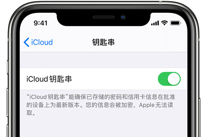 云安苹果手机维修分享在 iPhone 上开启 iCloud 钥匙串之后会储存哪些信息 